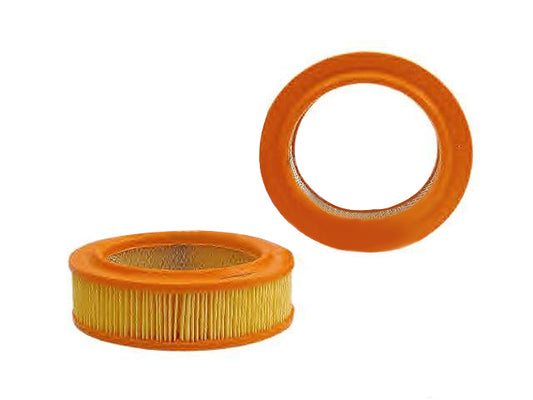 1 438 016 China Auto Parts Manufacturer Air Filter for FORD ESCORT FIESTA VAUXHALL 1438016