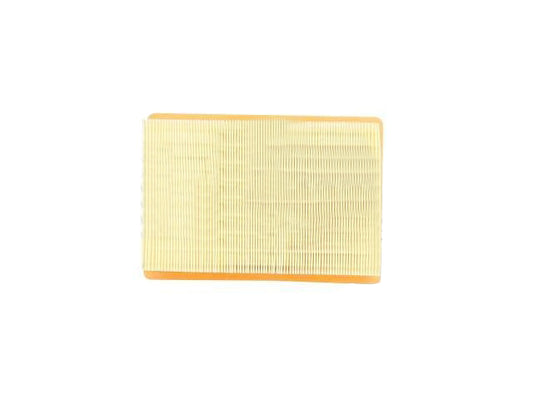 factory hot sales High Quality Factory Price Vehicle Air Filters 201005BAC for GUANGHZOU